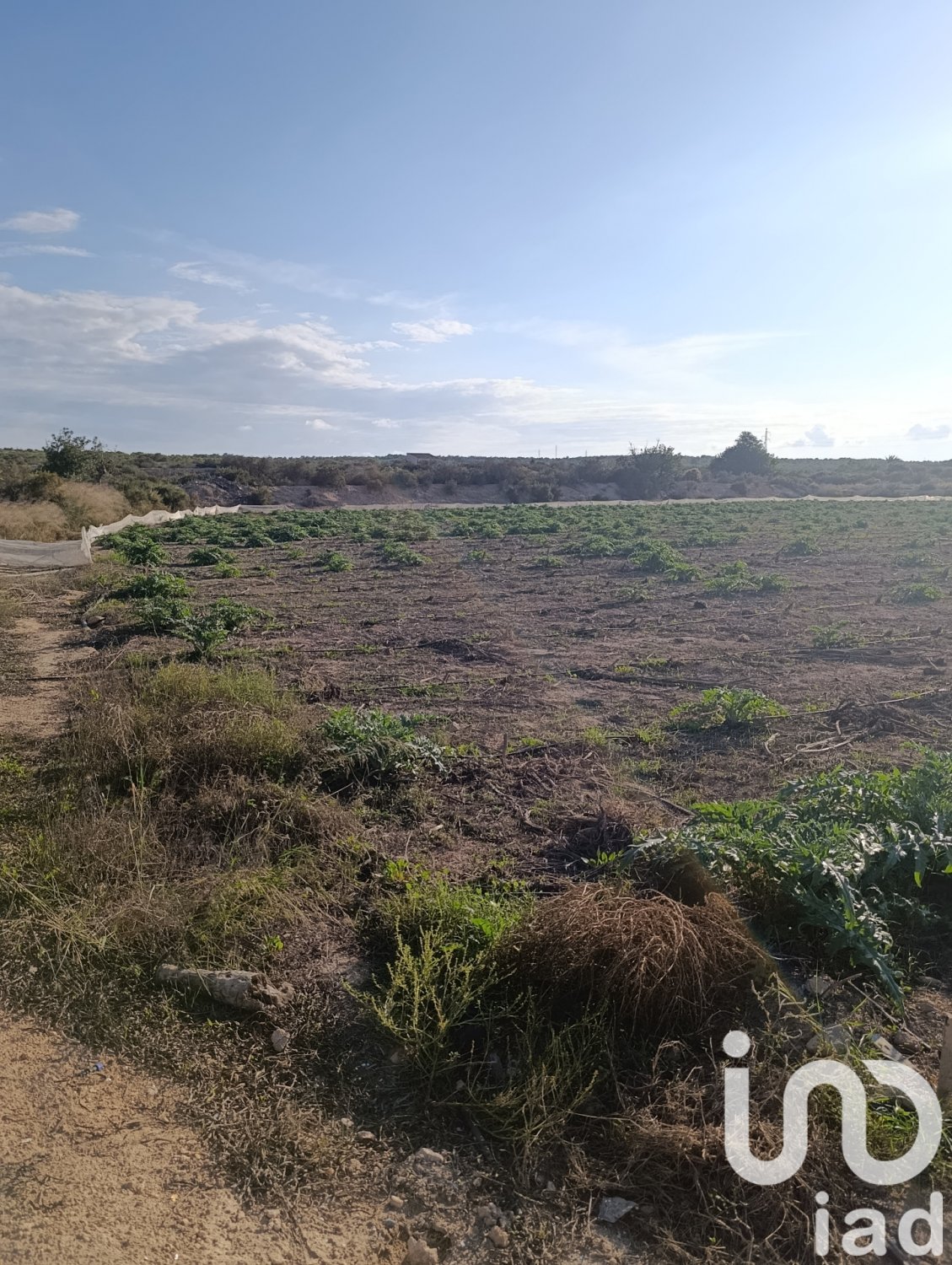 Land plot à Elche, Alicante, Espagne 28329 m2 No. 185575