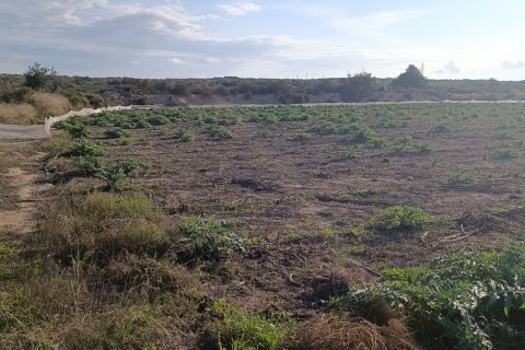 Land plot à vendre à Elche, Alicante, Espagne, 28329 m2 No. 185575 - photo 15