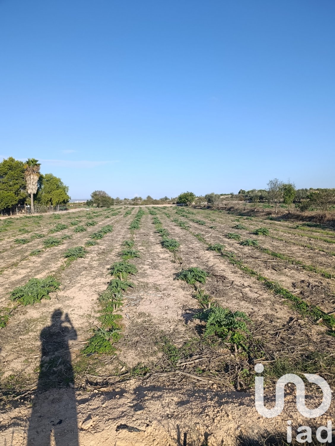Land plot à Elche, Alicante, Espagne 28329 m2 No. 185575