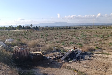 Land plot à vendre à Elche, Alicante, Espagne, 28329 m2 No. 185575 - photo 12