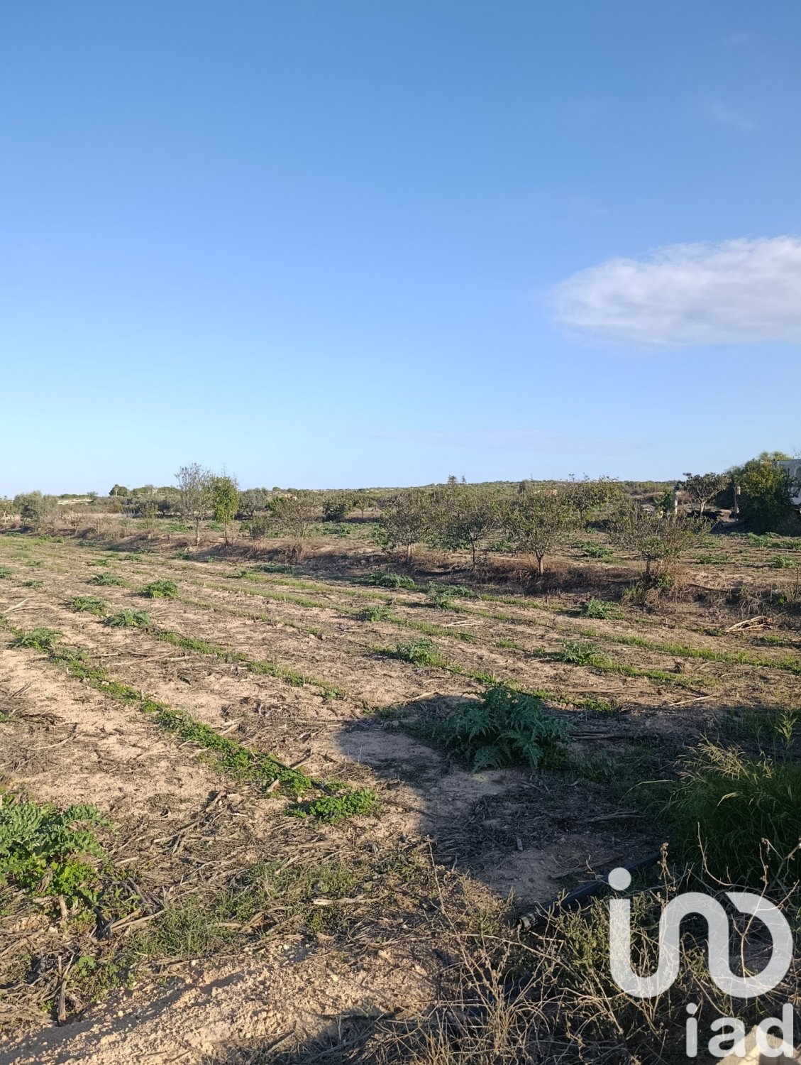 Land plot à Elche, Alicante, Espagne 28329 m2 No. 185575