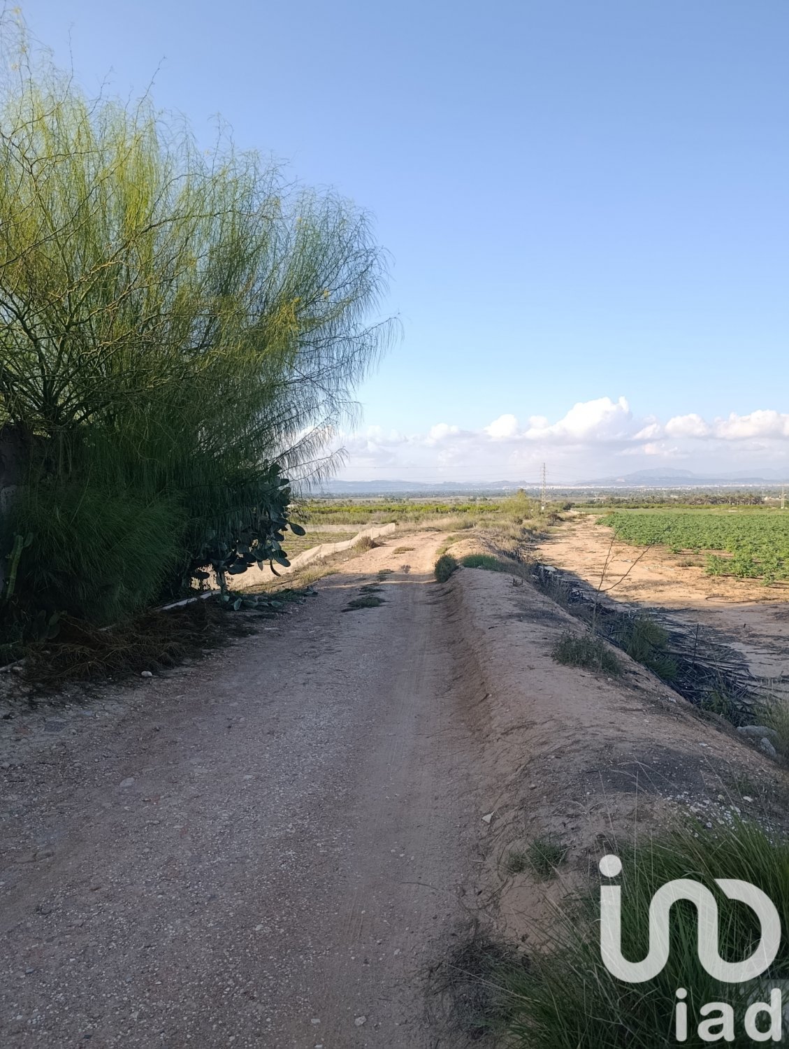 Land plot à Elche, Alicante, Espagne 28329 m2 No. 185575