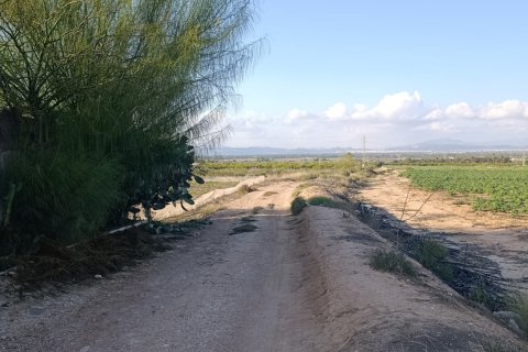 Land plot à vendre à Elche, Alicante, Espagne, 28329 m2 No. 185575 - photo 27