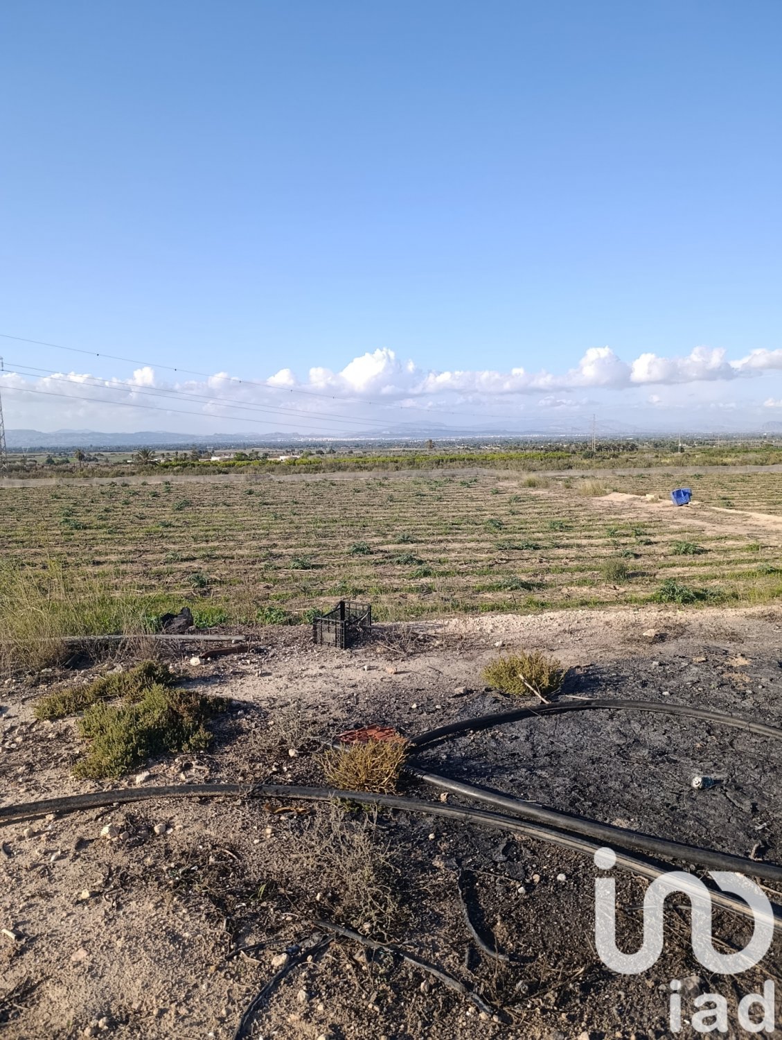 Land plot à Elche, Alicante, Espagne 28329 m2 No. 185575