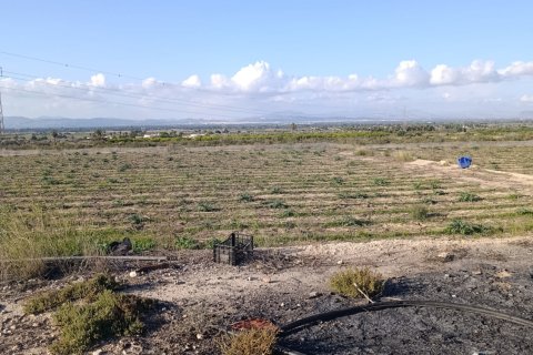 Land plot à vendre à Elche, Alicante, Espagne, 28329 m2 No. 185575 - photo 7