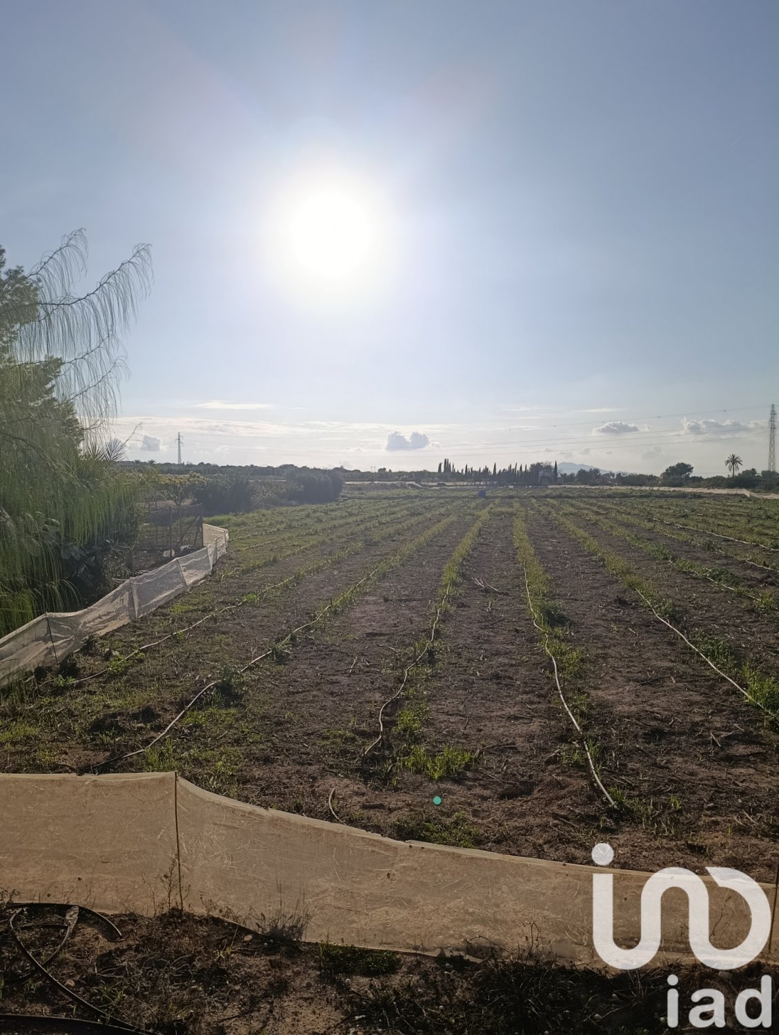 Land plot à Elche, Alicante, Espagne 28329 m2 No. 185575