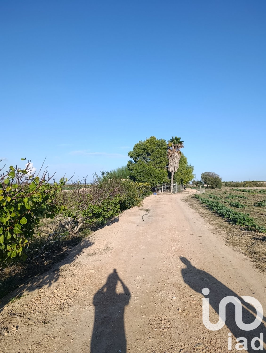 Land plot à Elche, Alicante, Espagne 28329 m2 No. 185575