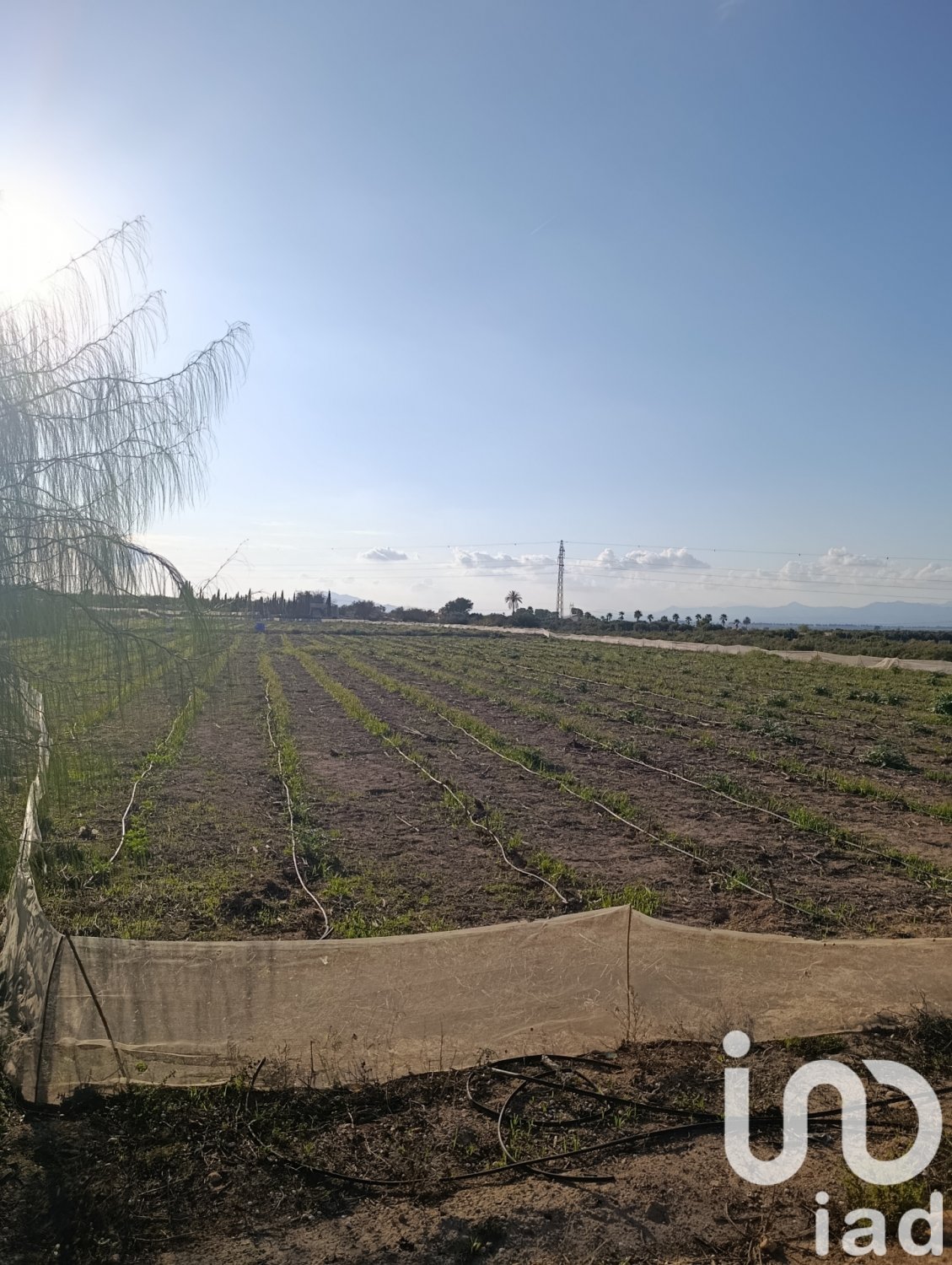 Land plot à Elche, Alicante, Espagne 28329 m2 No. 185575