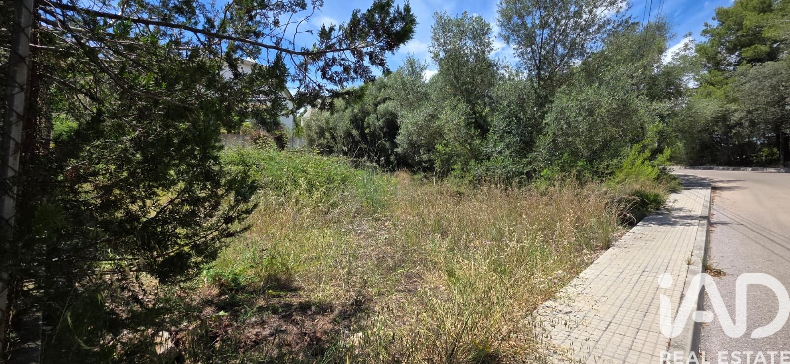 Terreno a Campanet, Mallorca, Spagna 326 mq. N° 172323