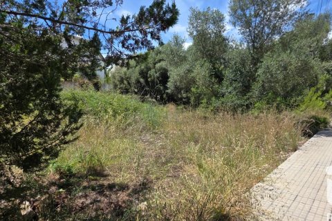 Land zum Verkauf in Campanet, Mallorca, Spanien 326 m2 Nr. 172323 - Foto 5