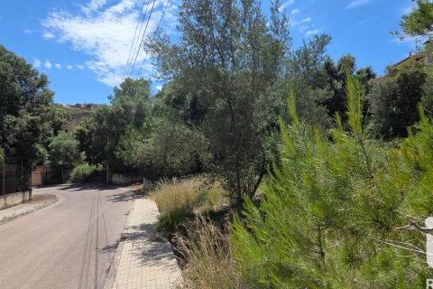 Land zum Verkauf in Campanet, Mallorca, Spanien 326 m2 Nr. 172323 - Foto 6