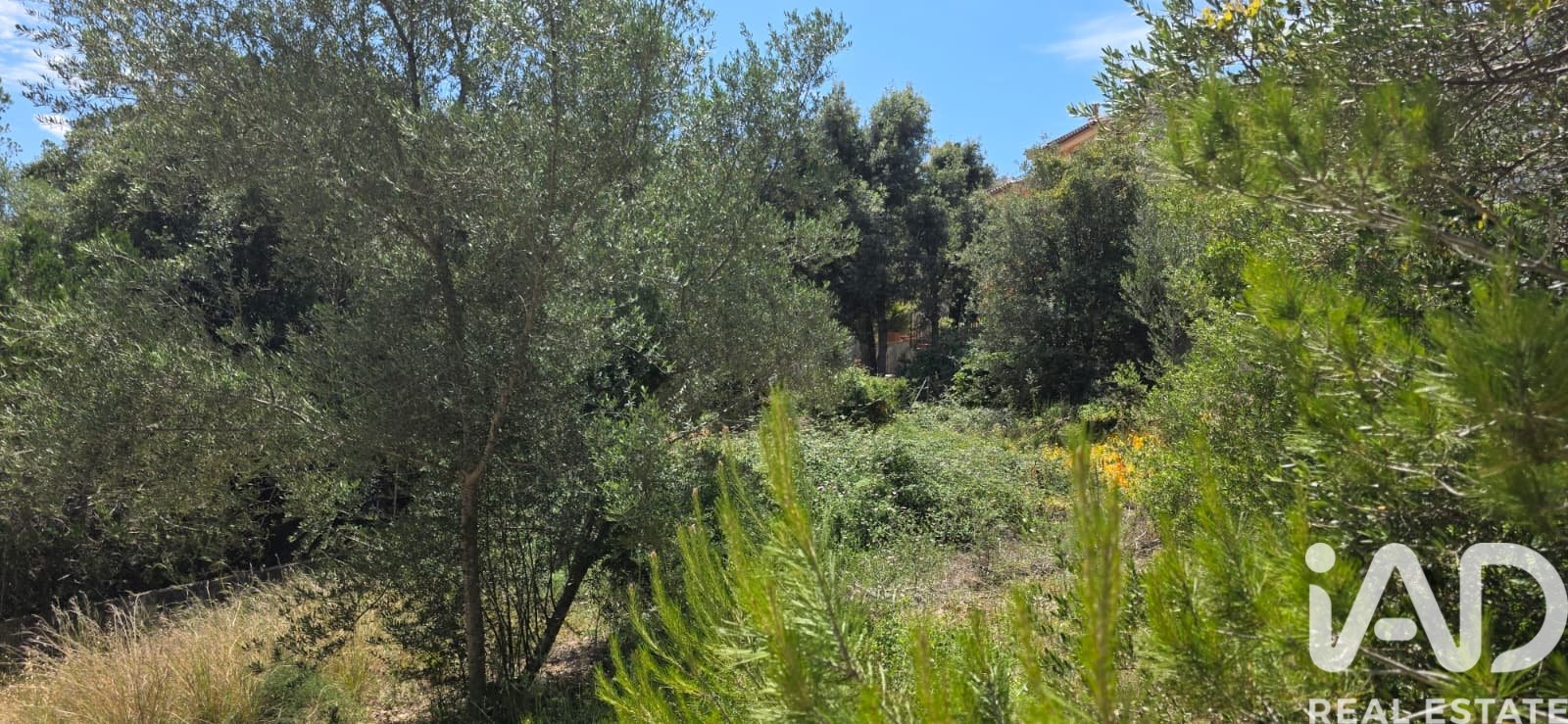 Terreno a Campanet, Mallorca, Spagna 326 mq. N° 172323