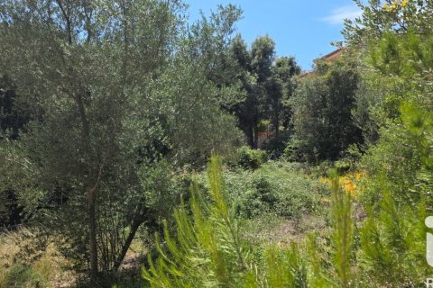 Land zum Verkauf in Campanet, Mallorca, Spanien 326 m2 Nr. 172323 - Foto 3