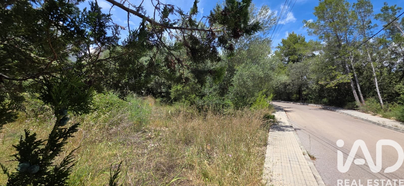Terreno a Campanet, Mallorca, Spagna 326 mq. N° 172323