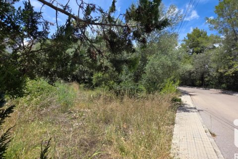 Land zum Verkauf in Campanet, Mallorca, Spanien 326 m2 Nr. 172323 - Foto 7