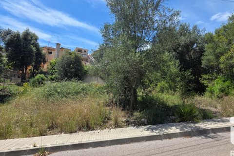 Land plot à Campanet, Mallorca, Espagne 326 m2 No. 172323