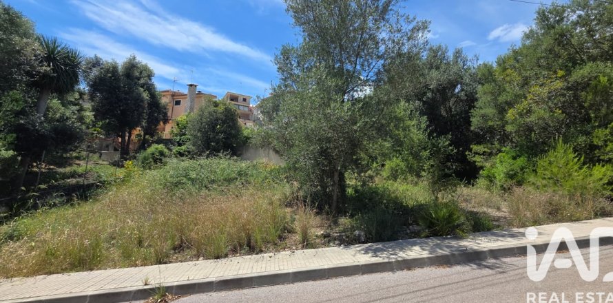 Land in Campanet, Mallorca, Spanien 326 m2 Nr. 172323