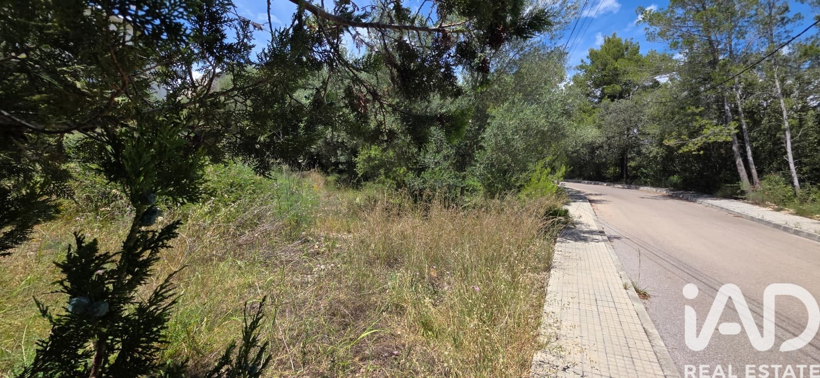 Terreno a Campanet, Mallorca, Spagna 326 mq. N° 172323