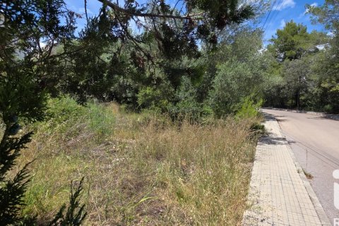 Land zum Verkauf in Campanet, Mallorca, Spanien 326 m2 Nr. 172323 - Foto 4