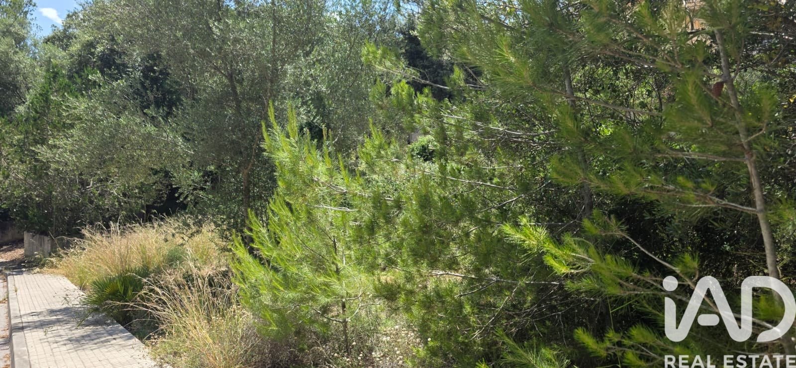 Terreno a Campanet, Mallorca, Spagna 326 mq. N° 172323