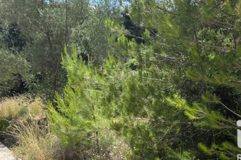 Land zum Verkauf in Campanet, Mallorca, Spanien 326 m2 Nr. 172323 - Foto 2
