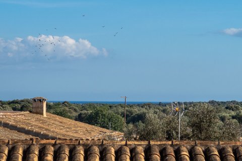 Kaupunkipientalo myytävänä Santanyi, Mallorca, Espanja, 4 makuuhuonetta, 170 m2 No. 177312 - kuva 4