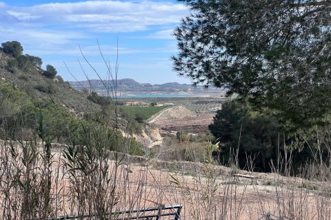 Finca myytävänä Torremendo, Alicante, Espanja, 2 makuuhuonetta, 54 m2 No. 151520 - kuva 5