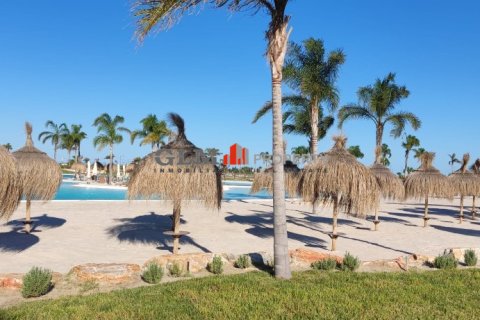 Apartment à vendre à Torre-Pacheco, Murcia, Espagne, 3 chambres,  No. 144104 - photo 23