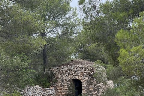Terreno in vendita a Torredembarra, Tarragona, Spagna 100000 mq. N° 185901 - foto 13