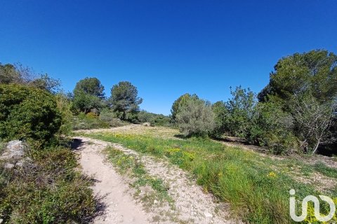Terreno in vendita a Torredembarra, Tarragona, Spagna 100000 mq. N° 185901 - foto 9