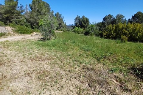 Terreno in vendita a Torredembarra, Tarragona, Spagna 100000 mq. N° 185901 - foto 8