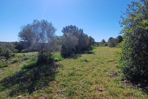 Terreno in vendita a Torredembarra, Tarragona, Spagna 100000 mq. N° 185901 - foto 2