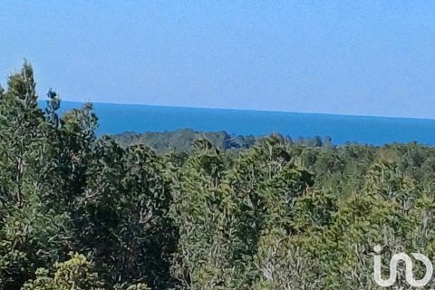 Terreno a Torredembarra, Tarragona, Spagna 100000 mq. N° 185901