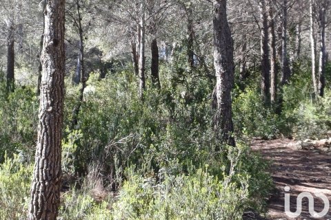 Terreno in vendita a Torredembarra, Tarragona, Spagna 100000 mq. N° 185901 - foto 10