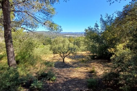 Terreno in vendita a Torredembarra, Tarragona, Spagna 100000 mq. N° 185901 - foto 11
