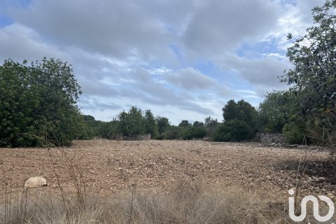 Terreno in vendita a Torredembarra, Tarragona, Spagna 100000 mq. N° 185901 - foto 4