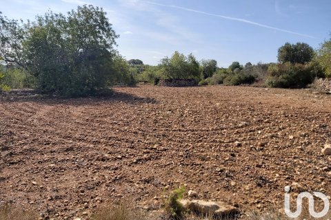 Terreno in vendita a Torredembarra, Tarragona, Spagna 100000 mq. N° 185901 - foto 3