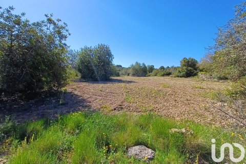 Terreno in vendita a Torredembarra, Tarragona, Spagna 100000 mq. N° 185901 - foto 6