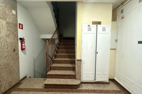Apartament Torrevieja, Alicante, Hiszpania 4 sypialnie, 189 mkw. nr 140019 – zdjęcie 7