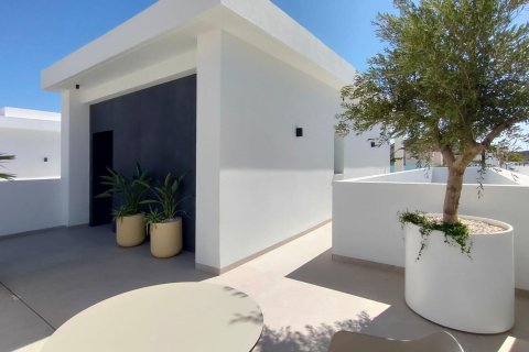 Willa Ciudad Quesada, Alicante, Hiszpania 5 sypialni, 245 mkw. nr 140014 – zdjęcie 9
