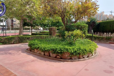 Apartamento en venta en La Pobla de Farnals, València, España 3 dormitorios, 89 m2 No. 140286 - foto 4