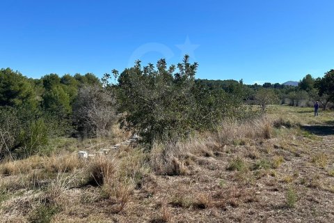 Land zum Verkauf in Javea, Alicante, Spanien 11400 m2 Nr. 157608 - Foto 5