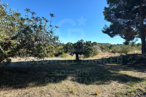 Tontti myytävänä Javea, Alicante, Espanja , 11400 m2 No. 157608 - kuva 4