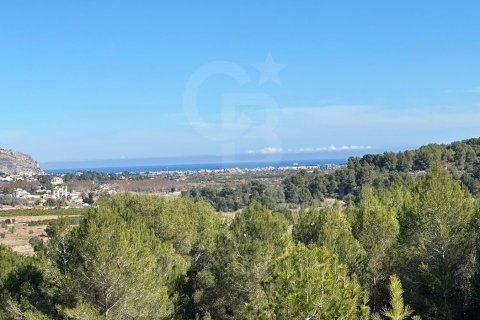 Land zum Verkauf in Javea, Alicante, Spanien 11400 m2 Nr. 157608 - Foto 10