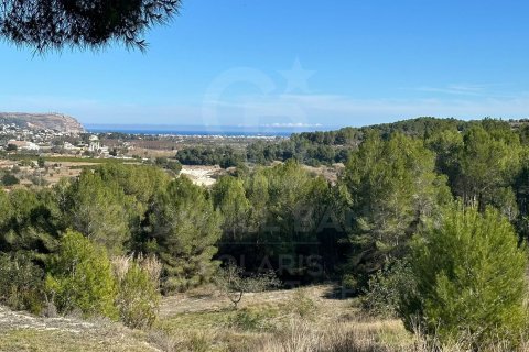 Tontti Javea, Alicante, Espanja 11400 m2 No. 157608