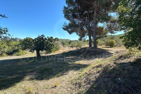 Tontti myytävänä Javea, Alicante, Espanja , 11400 m2 No. 157608 - kuva 3