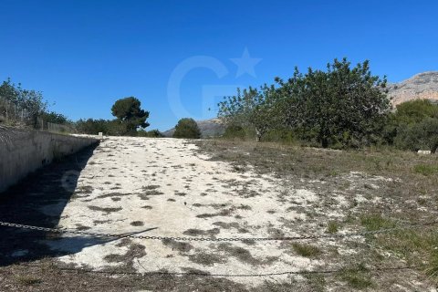 Land zum Verkauf in Javea, Alicante, Spanien 11400 m2 Nr. 157608 - Foto 6