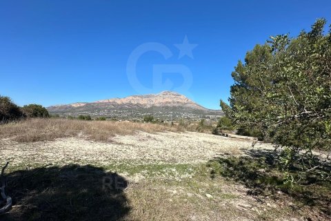 Land zum Verkauf in Javea, Alicante, Spanien 11400 m2 Nr. 157608 - Foto 2