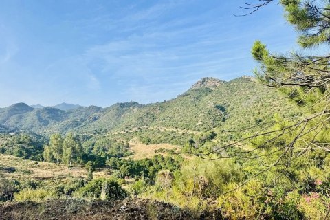 Land plot for sale Benahavis, Malaga, Spain No. 133970 - photo 1
