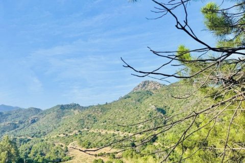 Land plot for sale Benahavis, Malaga, Spain No. 133970 - photo 3